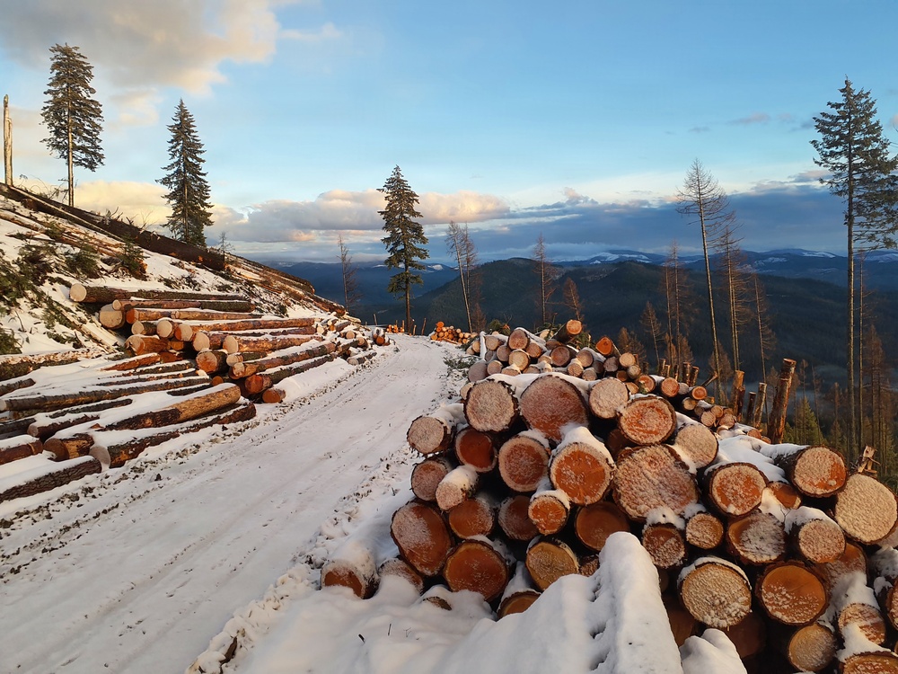 Timber harvest on the Idaho Panhandle National Forests