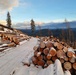 Timber harvest on the Idaho Panhandle National Forests