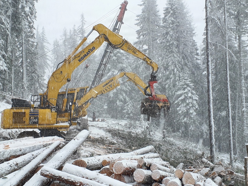 Timber harvest on the Idaho Panhandle National Forests
