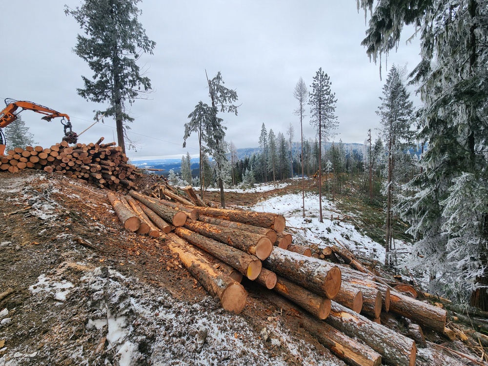 Timber harvest on the Idaho Panhandle National Forests