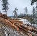 Timber harvest on the Idaho Panhandle National Forests
