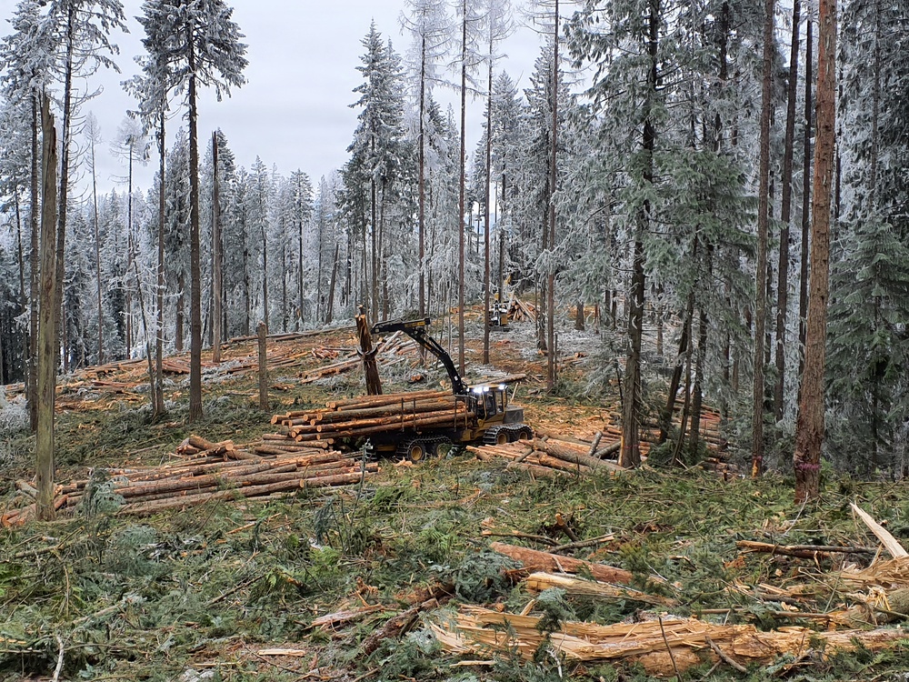 Timber harvest on the Idaho Panhandle National Forests