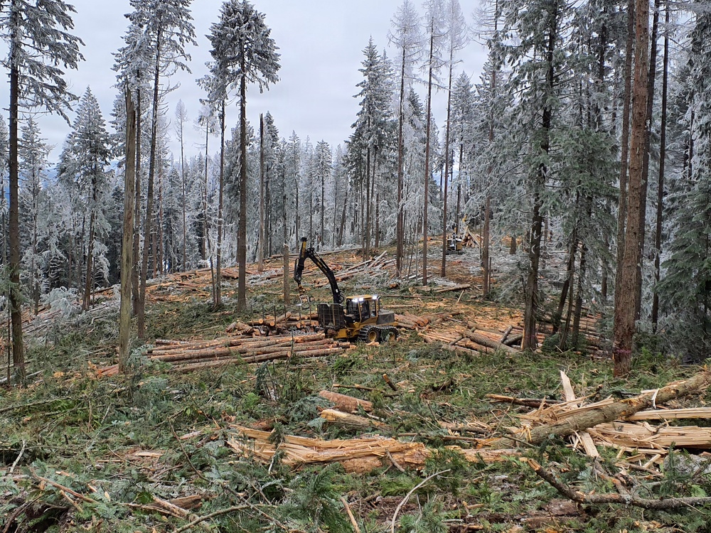 Timber harvest on the Idaho Panhandle National Forests