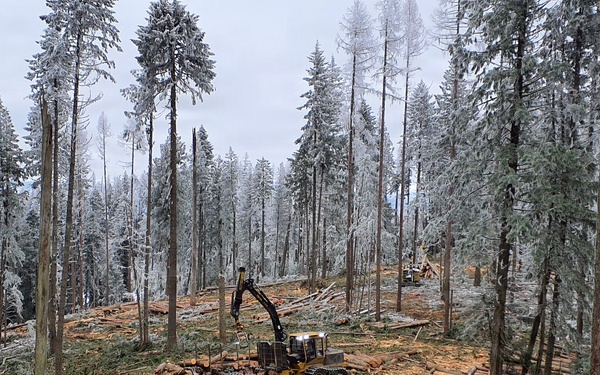 Timber harvest on the Idaho Panhandle National Forests