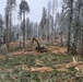 Timber harvest on the Idaho Panhandle National Forests