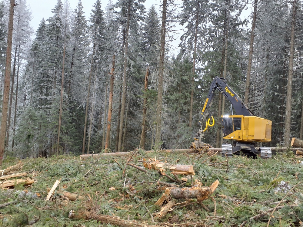Timber harvest on the Idaho Panhandle National Forests