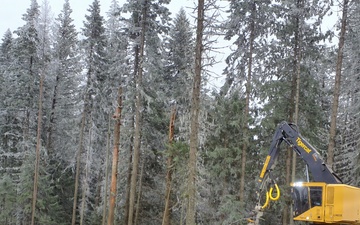 Timber harvest on the Idaho Panhandle National Forests