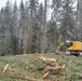 Timber harvest on the Idaho Panhandle National Forests