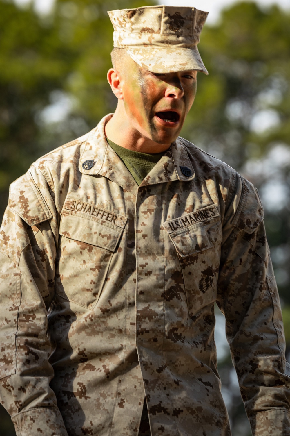 Alpha Company Crucible