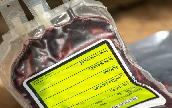 Sailors with 3rd Bn., 7th Marines take part in Valkyrie training during SLTE