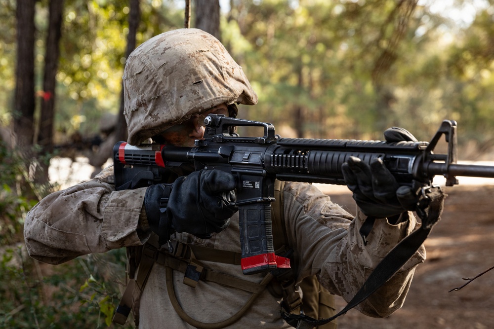 Alpha Company Crucible