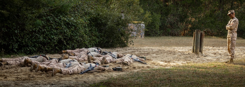 Alpha Company Crucible