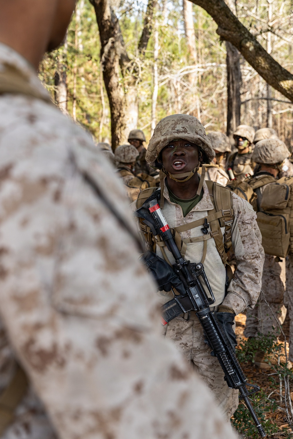 Alpha Company Crucible