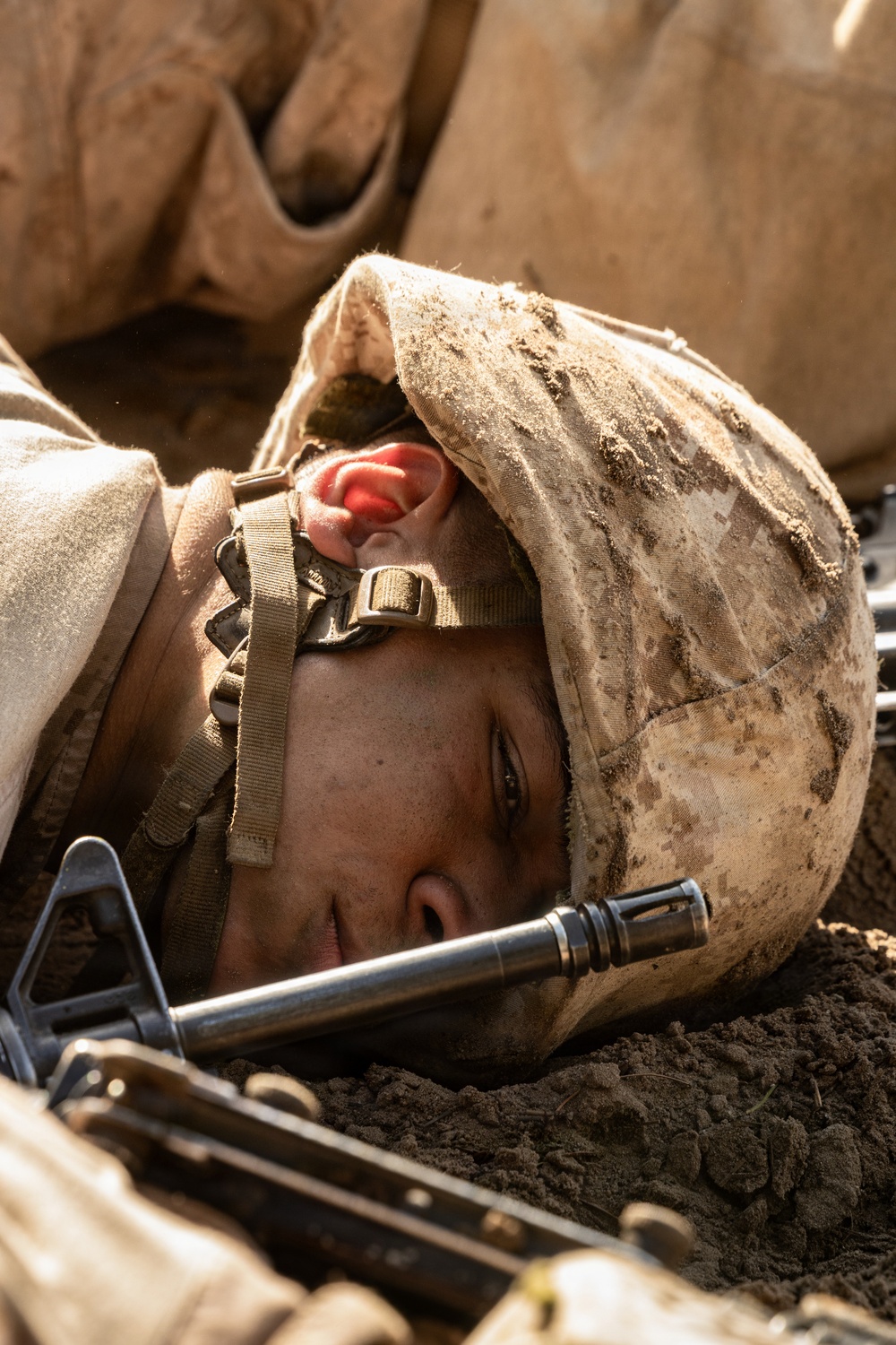 Alpha Company Crucible