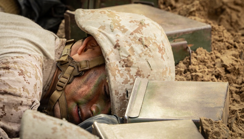 Alpha Company Crucible