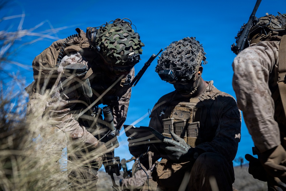 3rd LCT executes live-fire platoon attacks at PTA