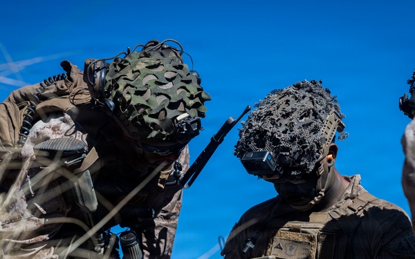 3rd LCT executes live-fire platoon attacks at PTA