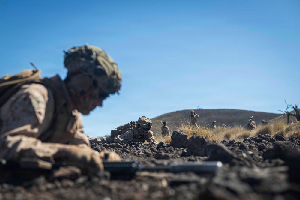 3rd LCT executes live-fire platoon attacks at PTA