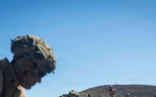 3rd LCT executes live-fire platoon attacks at PTA