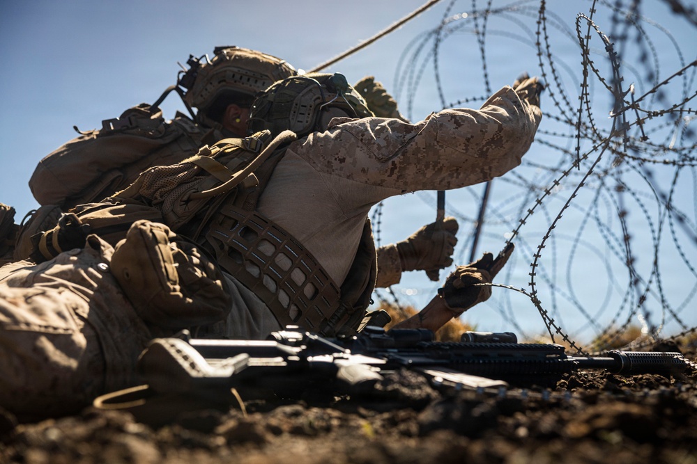 3rd LCT executes live-fire platoon attacks at PTA