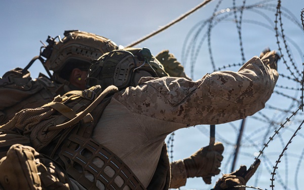 3rd LCT executes live-fire platoon attacks at PTA