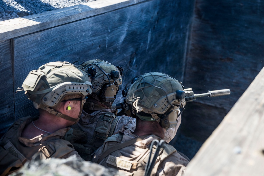 3rd LCT executes live-fire platoon attacks at PTA