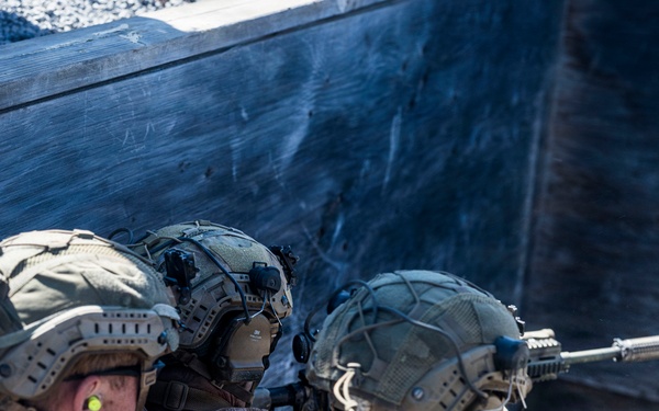 3rd LCT executes live-fire platoon attacks at PTA