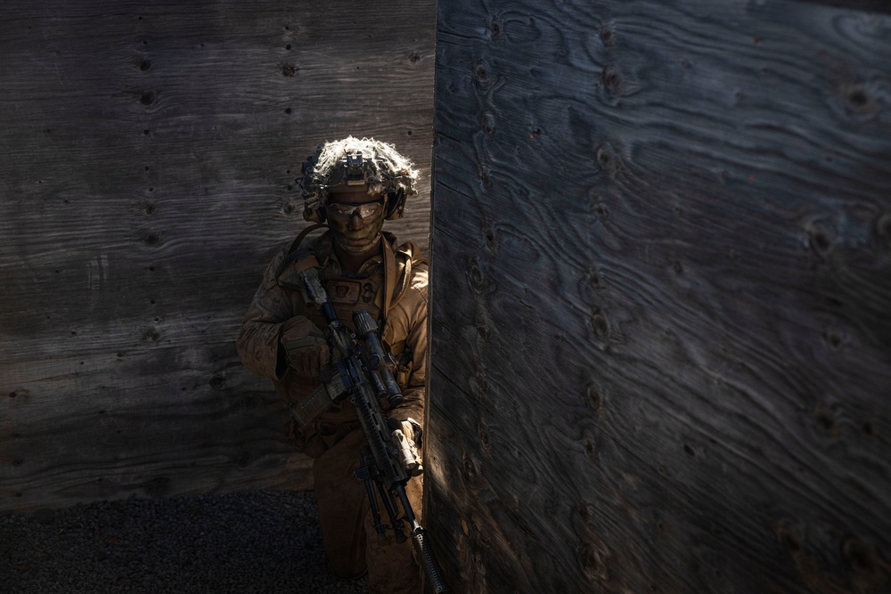 3rd LCT executes live-fire platoon attacks at PTA