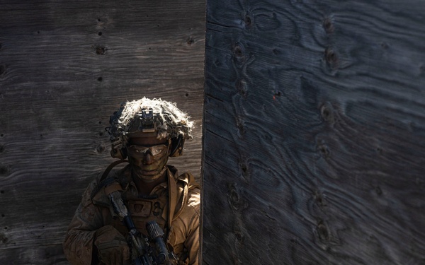 3rd LCT executes live-fire platoon attacks at PTA