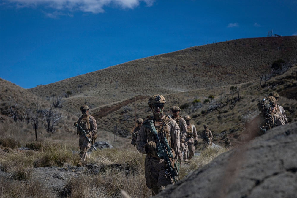 3rd LCT executes live-fire platoon attacks at PTA