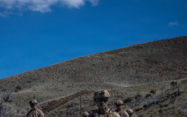 3rd LCT executes live-fire platoon attacks at PTA