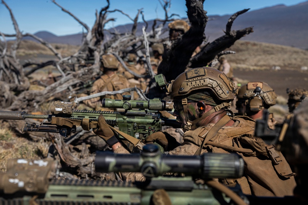 3rd LCT executes live-fire platoon attacks at PTA