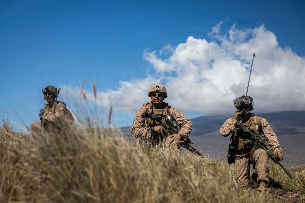 3rd LCT executes live-fire platoon attacks at PTA