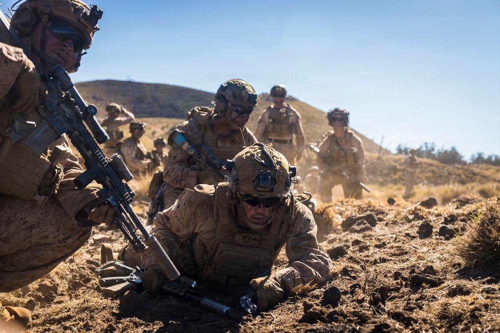 3rd LCT executes live-fire platoon attacks at PTA