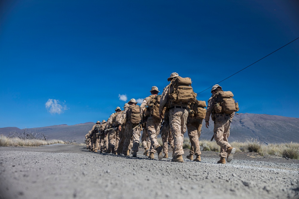 3rd LCT executes live-fire platoon attacks at PTA