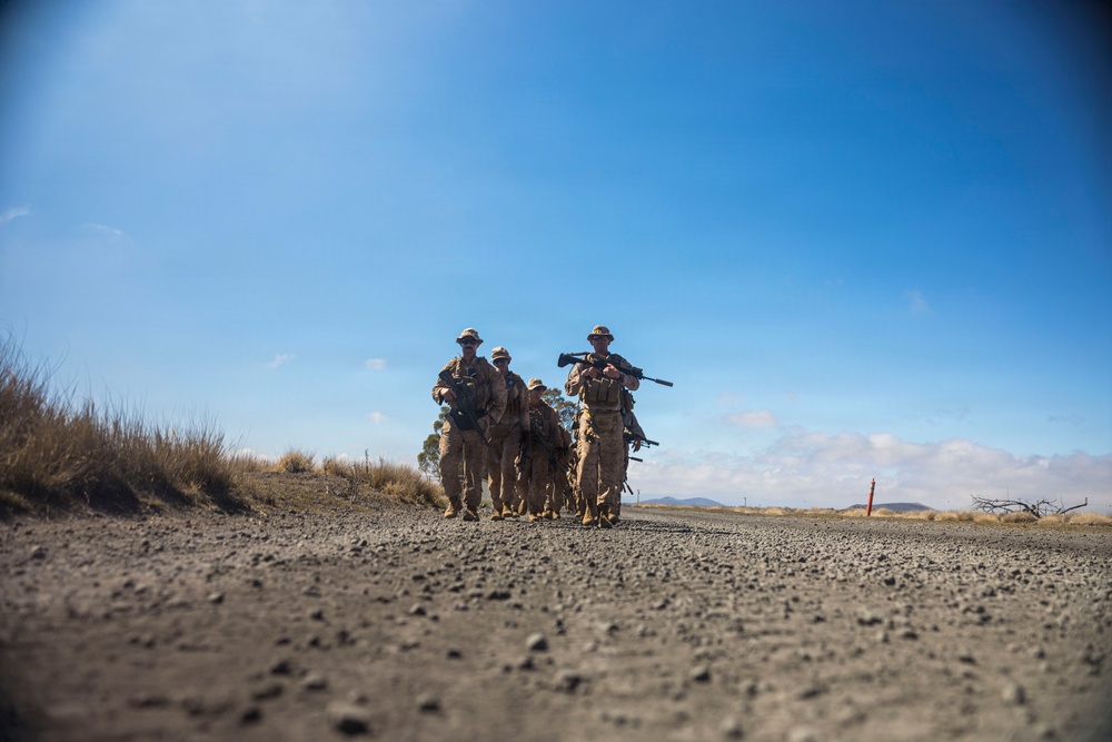 3rd LCT executes live-fire platoon attacks at PTA