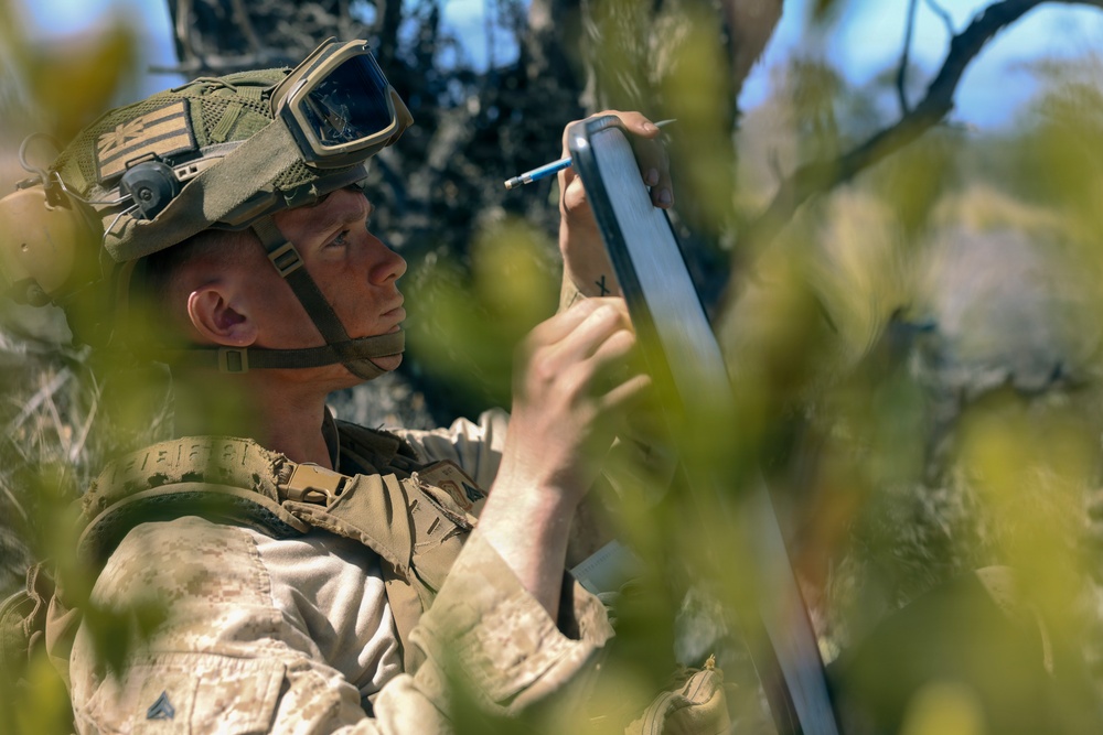 3rd LCT mortarmen execute dry-fire and live-fire company attacks at PTA