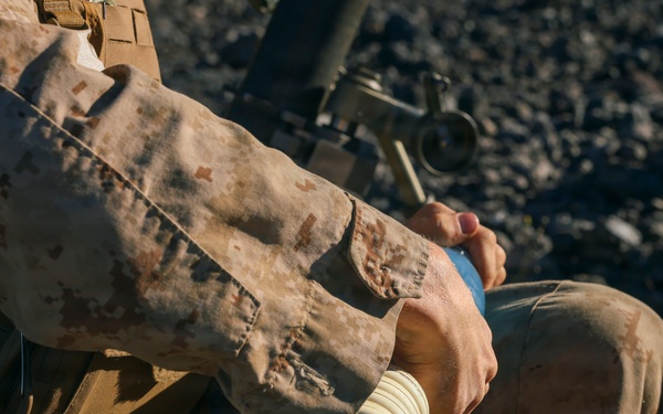 3rd LCT mortarmen execute dry-fire and live-fire company attacks at PTA