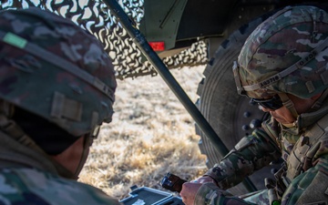 Ivy Sting 4 Nodes Displacement