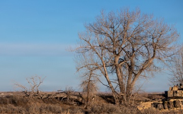 Ivy Sting 4 3rd Armored Brigade Combat Team
