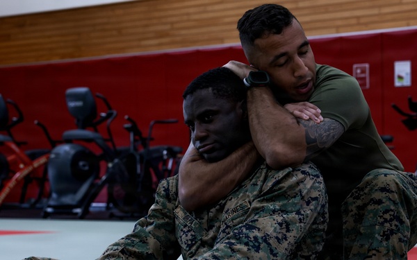 III Marine Expeditionary Force Support Battalion conducts Marine Corps Martial Arts Program training