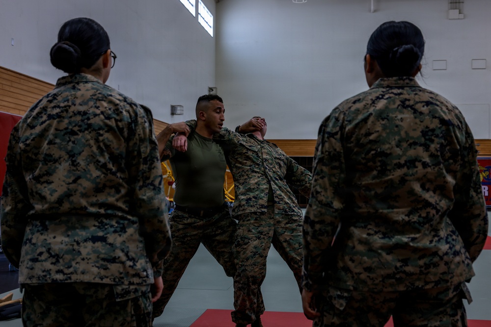 III Marine Expeditionary Force Support Battalion conducts Marine Corps Martial Arts Program training