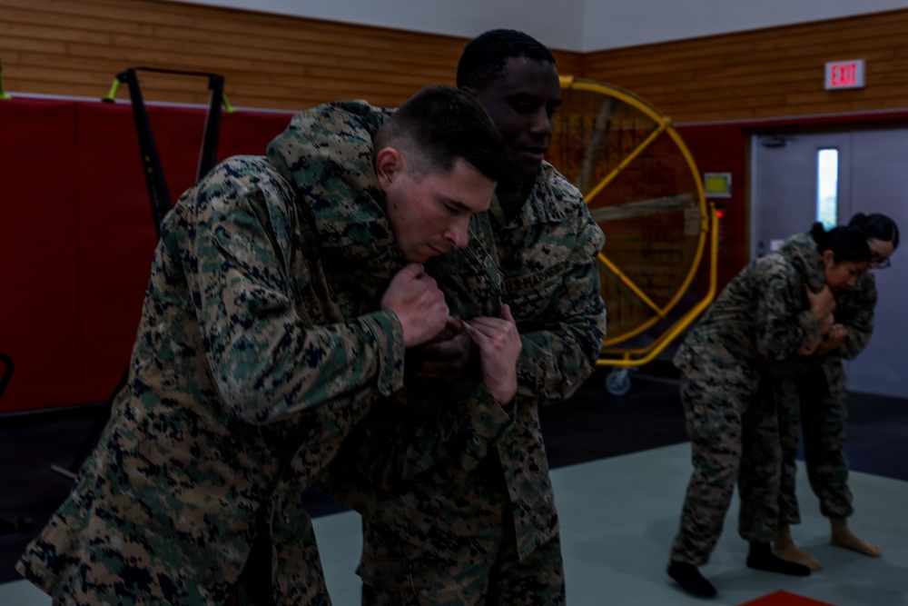 III Marine Expeditionary Force Support Battalion conducts Marine Corps Martial Arts Program training