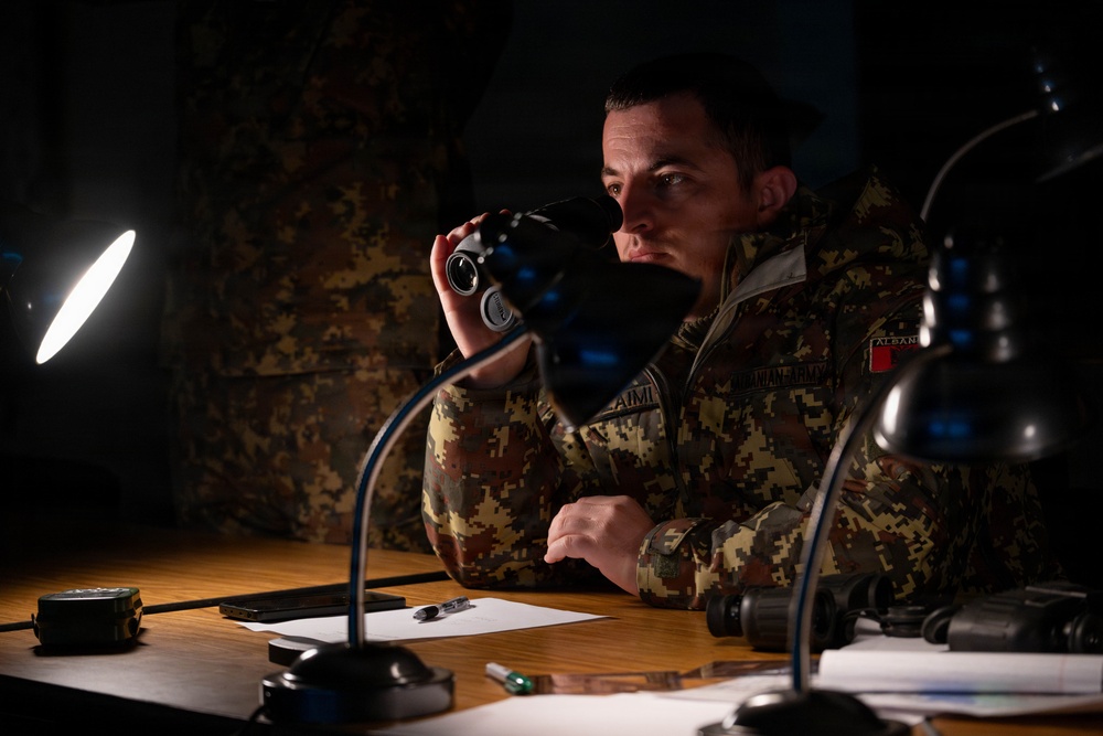 New Jersey Albania Call For Fire training