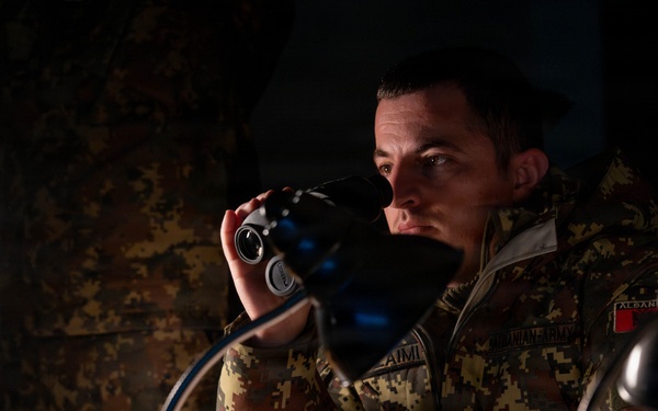 New Jersey Albania Call For Fire training