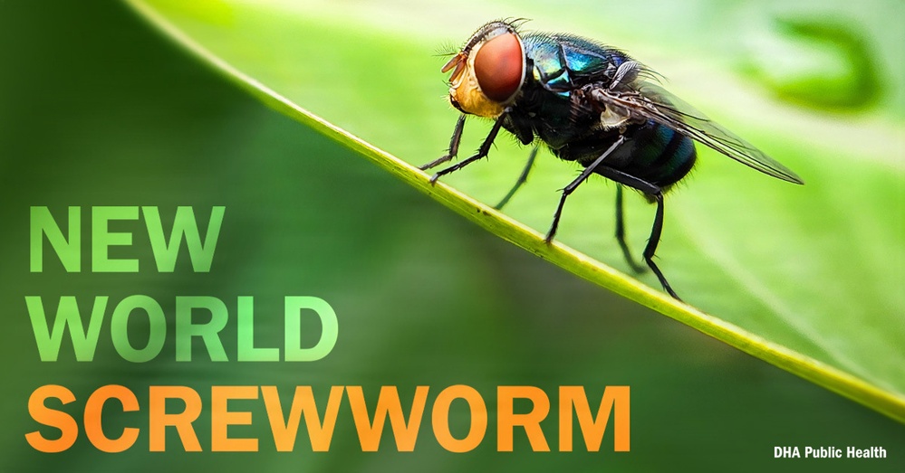 CDC issues nationwide Health Advisory on New World screwworm