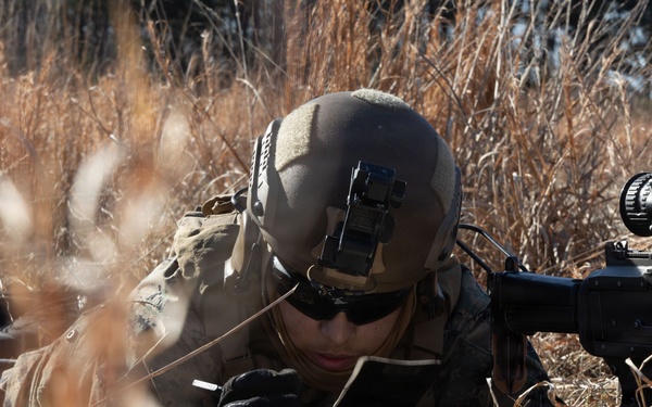 U.S. Marines with 1st Bn., 11th Marines during Operation Lethal Eagle 26.2