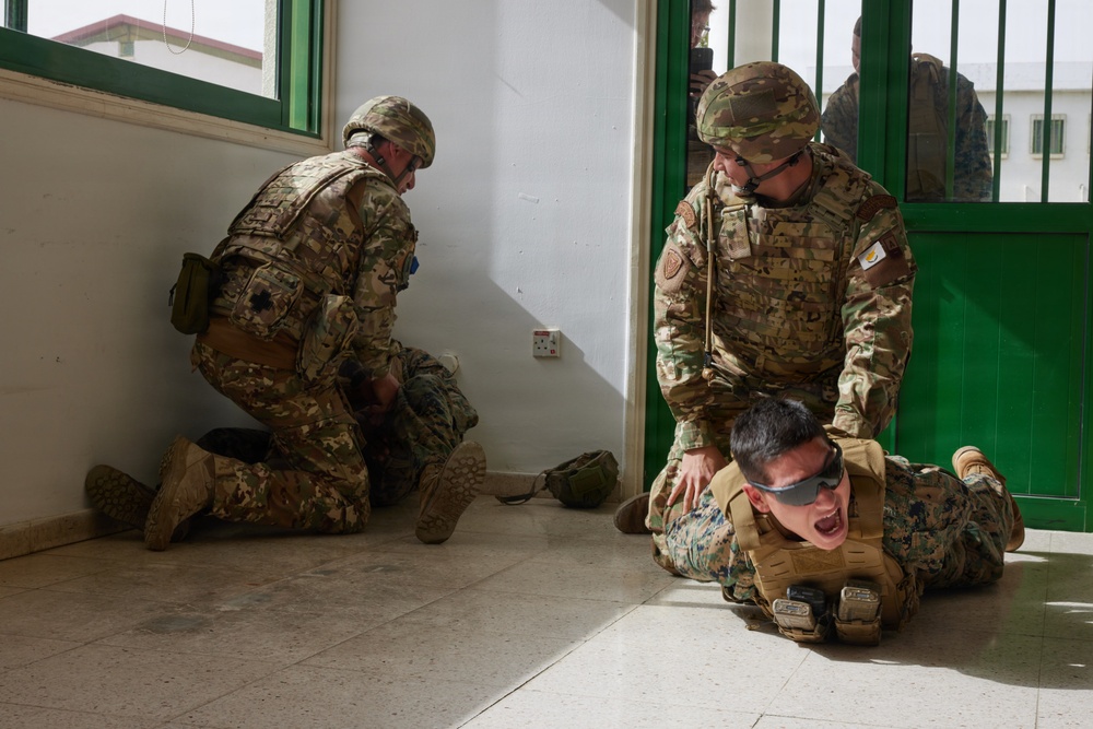 U.S. Marines with FAST Company Europe and Cyprus National Guard conduct use of force training