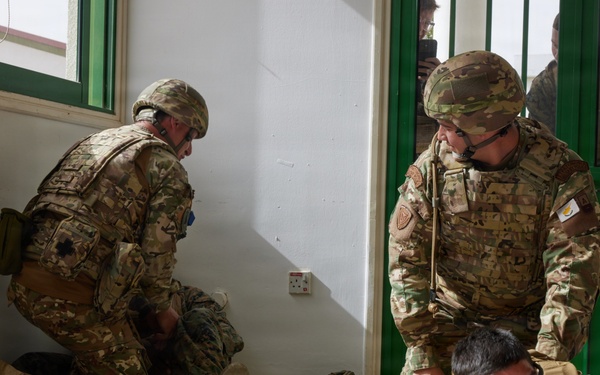 U.S. Marines with FAST Company Europe and Cyprus National Guard conduct use of force training
