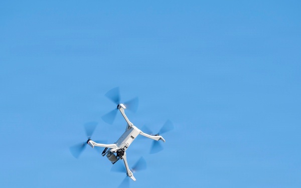 2025 EXERICSE DRAGON SHIELD